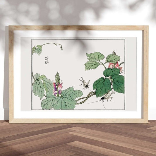 Leaf And Flower Illustration