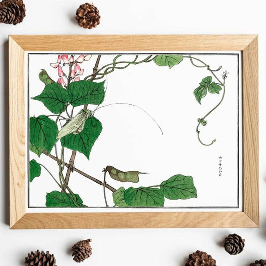 Locust On A Leaf Illustration