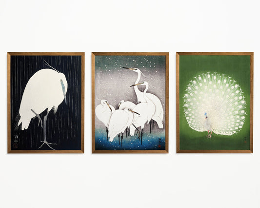 OHARA KOSON - Set de 3 Estampes Japonaises d'Oiseaux