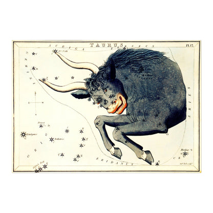 TAUREAU - Constellation d'un Taureau
