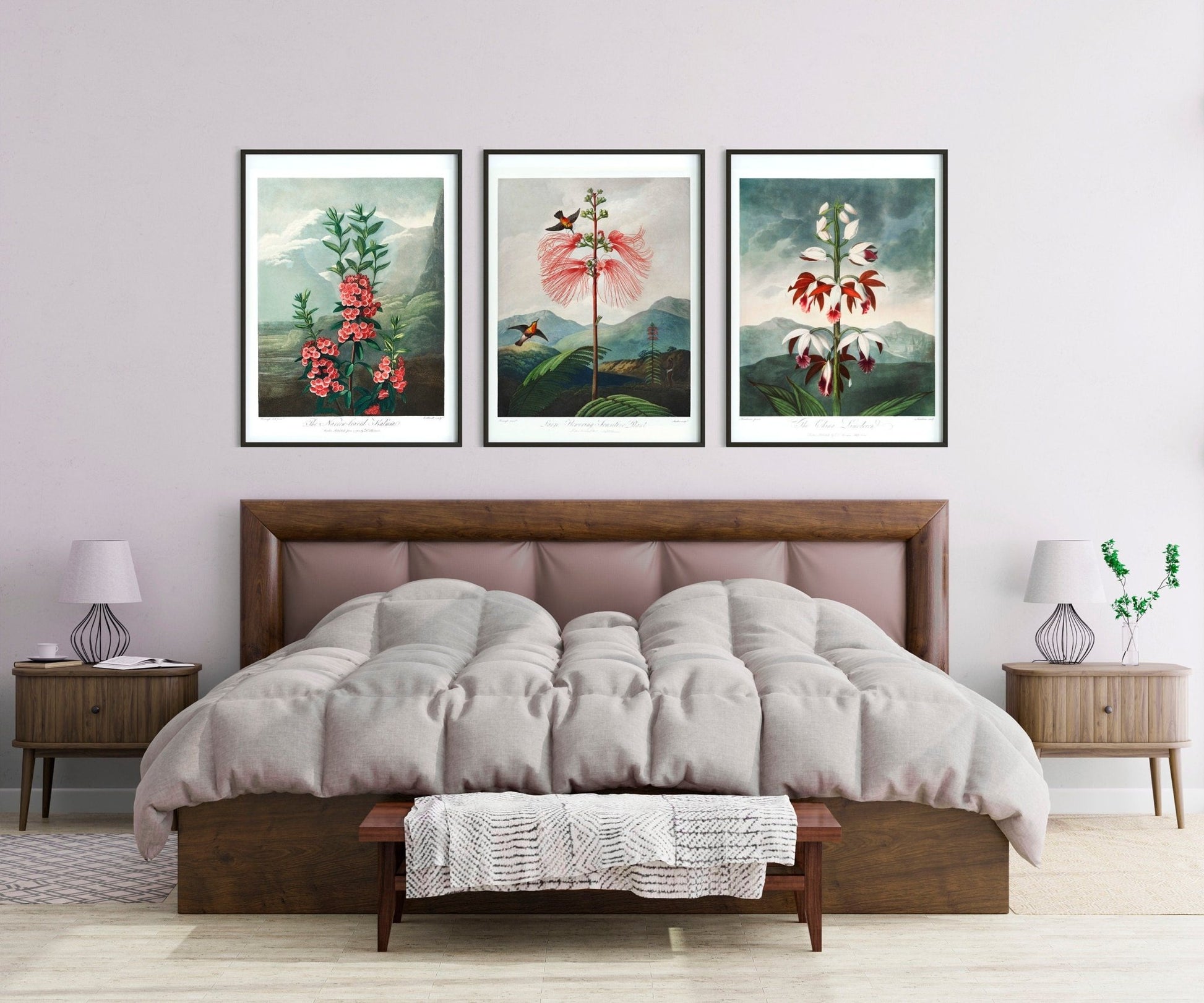 TEMPLE OF FLORA - Narrow–Leaved Kalmia - Pathos Studio - Art Prints