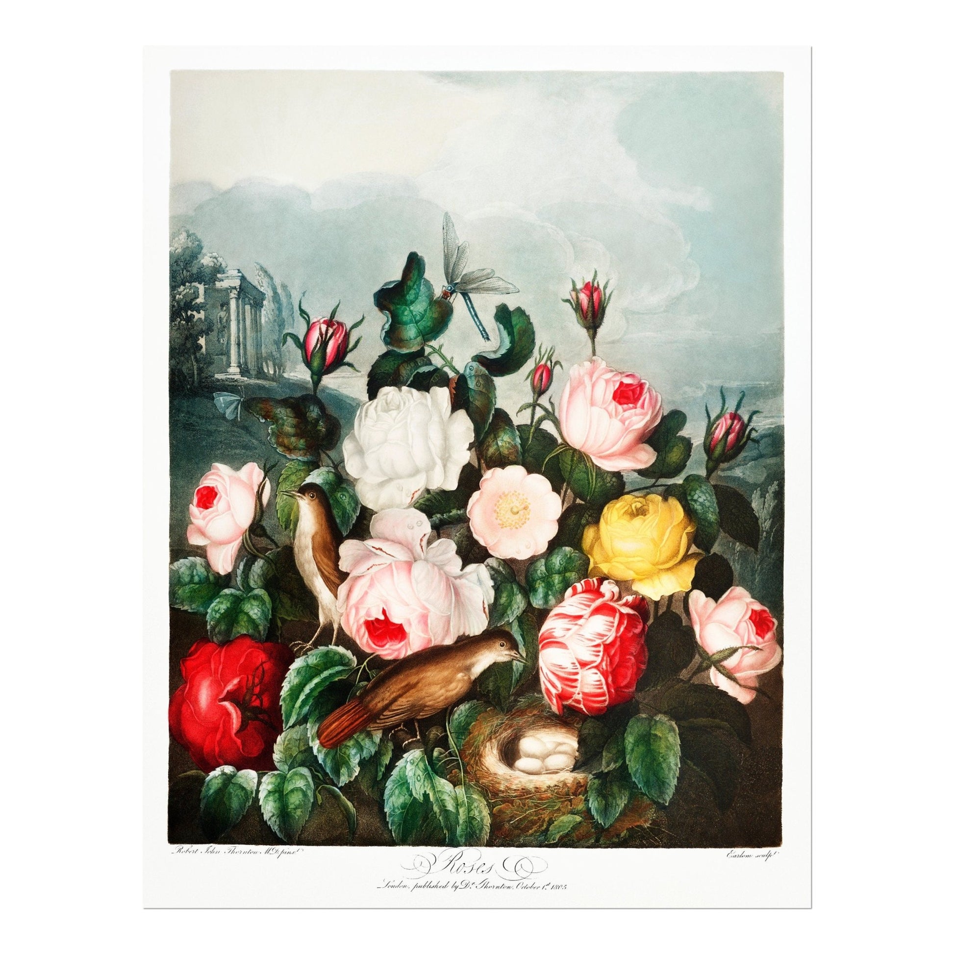TEMPLE OF FLORA - Roses - Pathos Studio - Art Prints