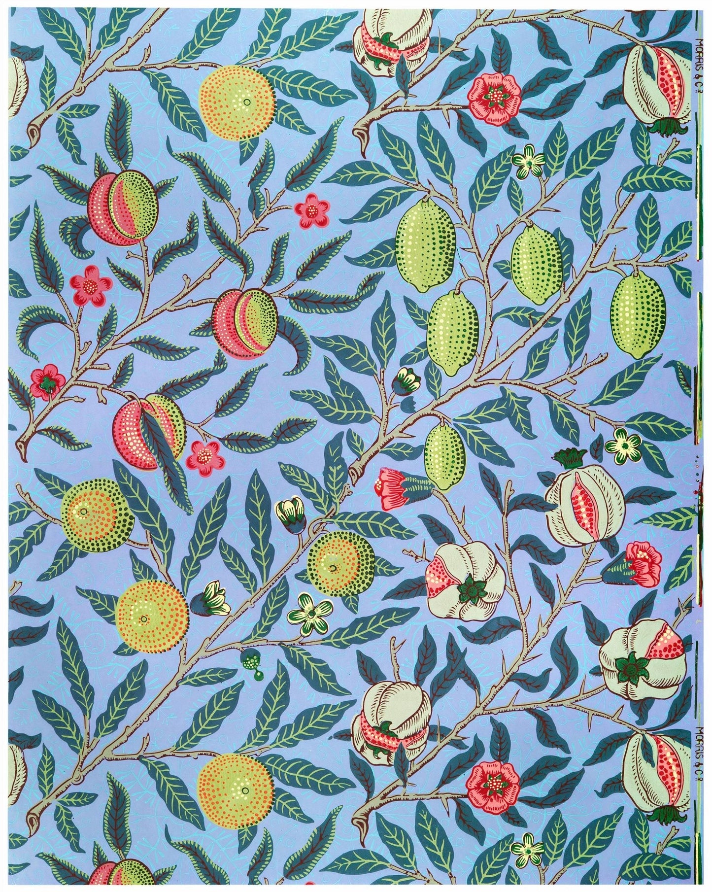 WILLIAM MORRIS - Pomegranate Fruit